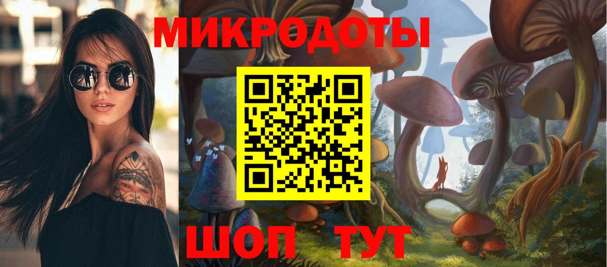 Галлюциногенные грибы Psilocybe Кингисепп