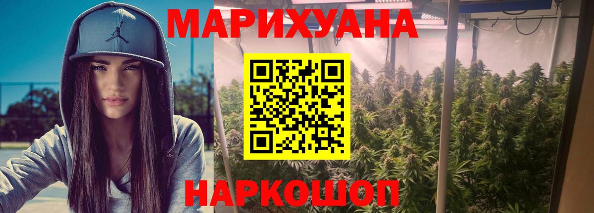 Кингисепп  Бошки марихуана ГИДРОПОН  Вход с VPN  Каннабис планчик  Конопля марихуана 